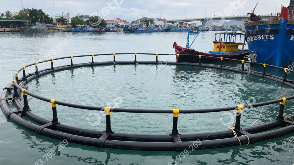 lồng HDPE Hòa Bình 