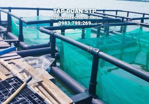 lồng HDPE Bắc Ninh