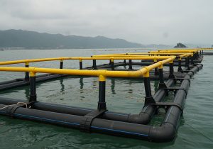 long-be-hdpe-3