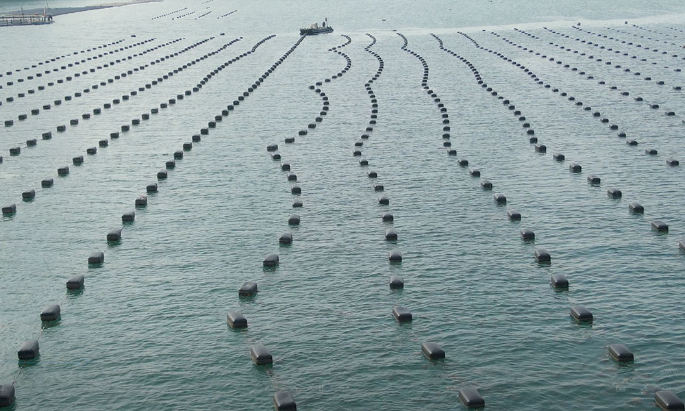 phao-noi-hdpe-5