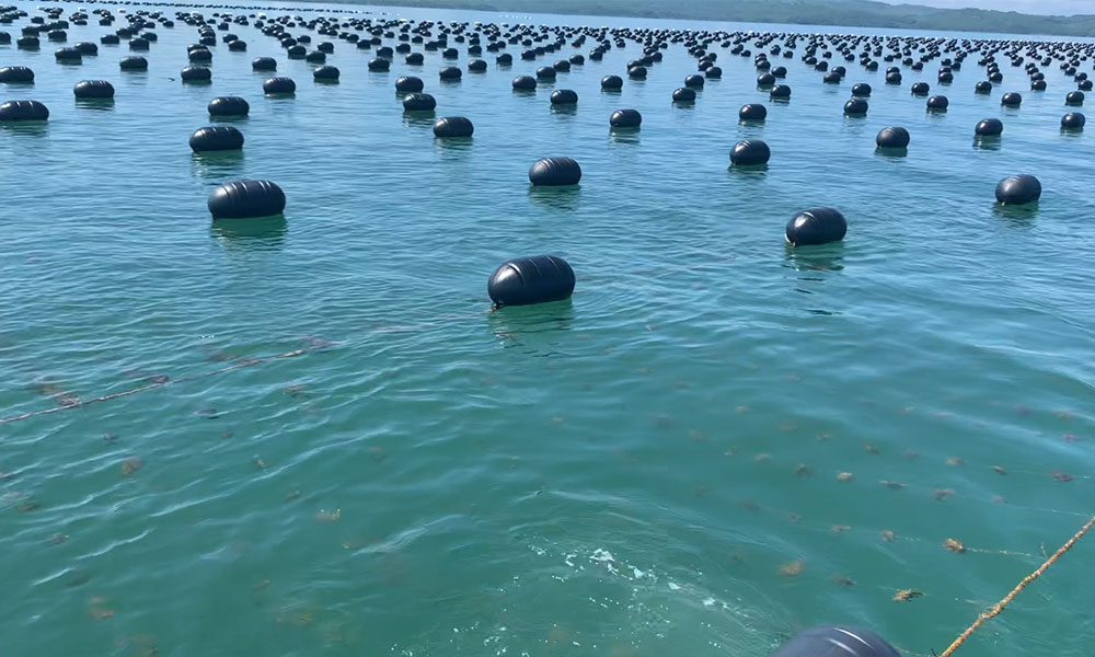 phao-noi-hdpe