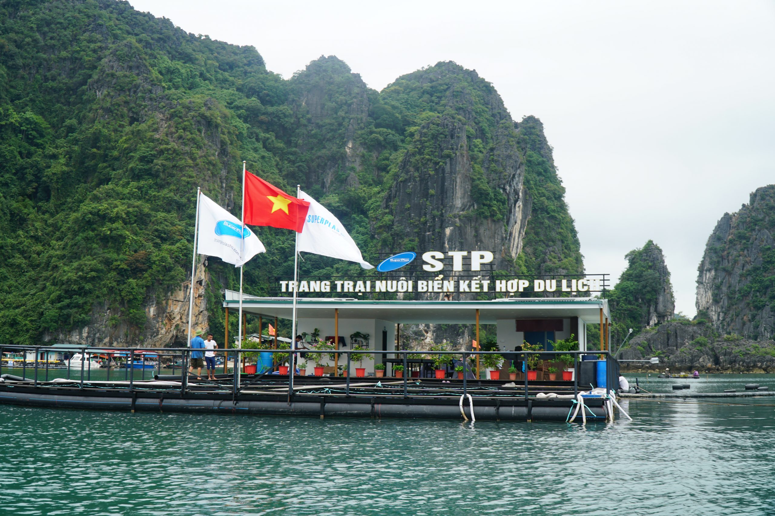 Trang trại nuôi thủy hải sản kết hợp du lịch biển của STP