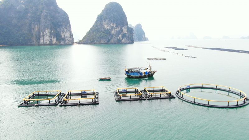 Lắp đặt lồng bè HDPE chống bão