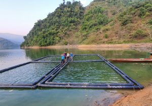 Lắp đặt lồng bè HDPE chống bão